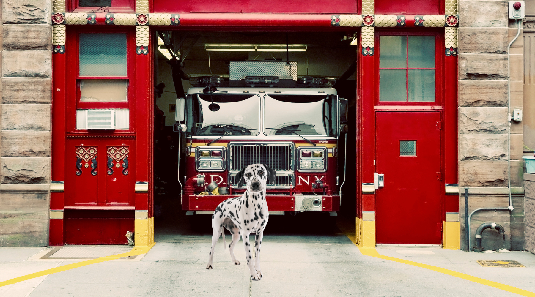 History about the Dalmatian and fire house